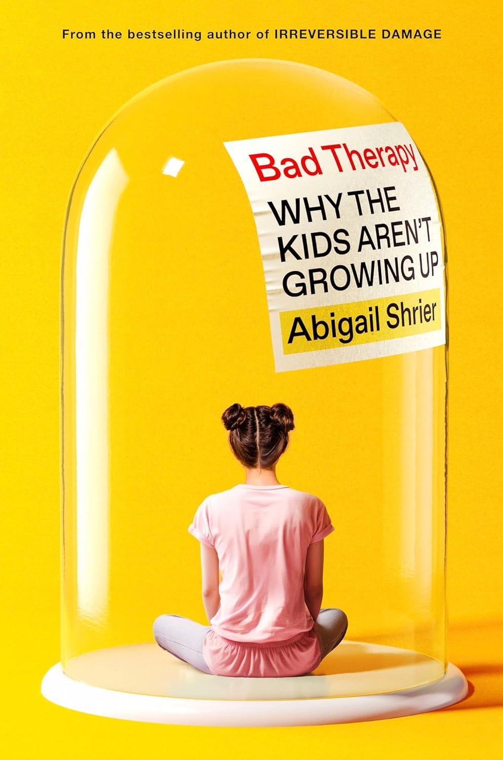 Chapter 2: Bad Therapy: Why the Kids Aren't Growing Up